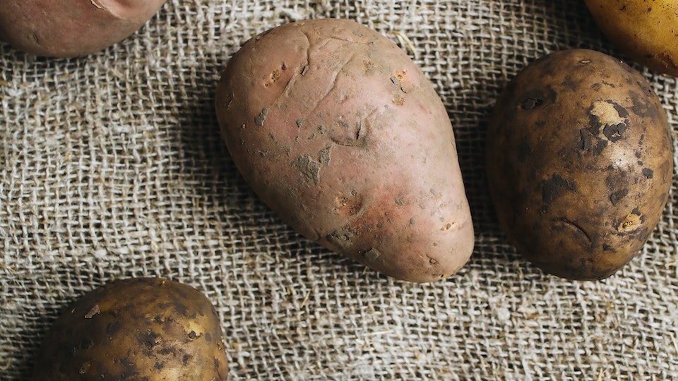 Kartoffeln selber anpflanzen und anbauen - so geht's