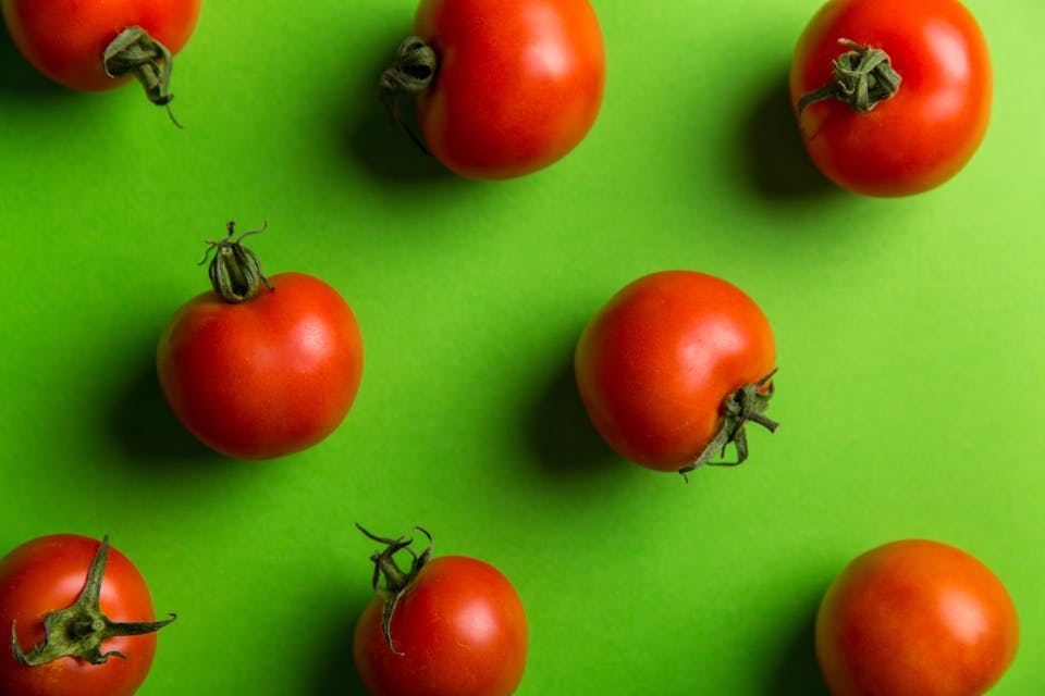 Tomatenpflanze lässt Blätter hängen - was kann man tun Tipps und Anleitung