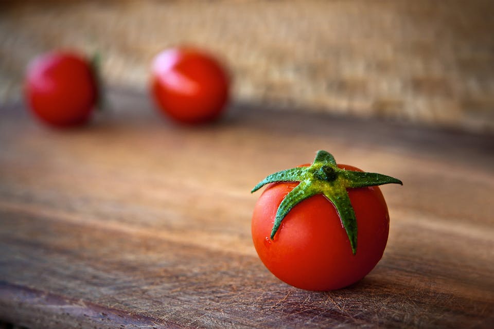 Wann bringt man Tomatenpflanzen in den Garten Tipps und Anleitung